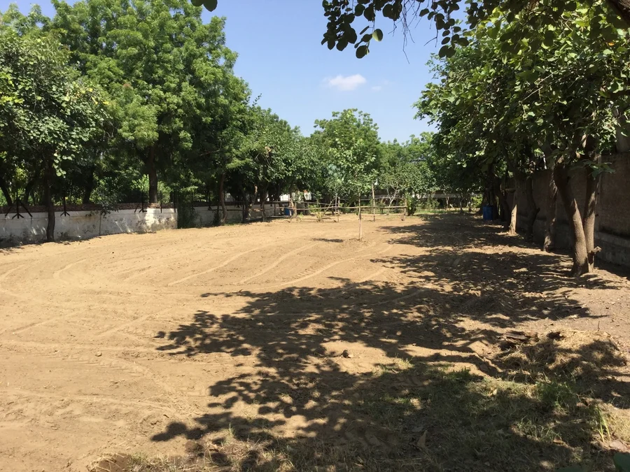 area in front of workshop prepared for roquette and mooli etc 1200